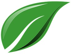 list zeleny